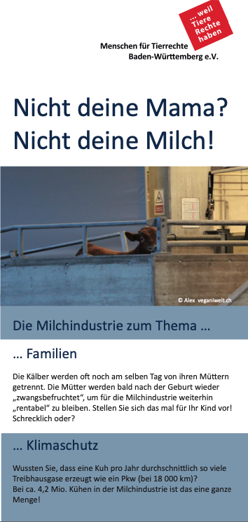 Thumbnail Flyer Milch